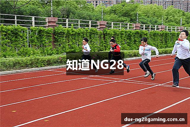 知道NG28